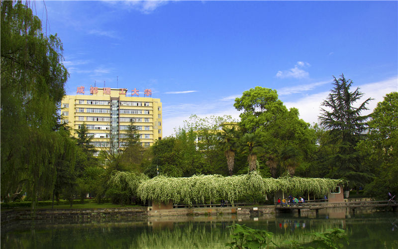 2025河南多少分能考上成都理工大學(xué)？最低516分左右
