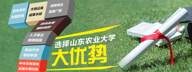 2023山東農(nóng)業(yè)大學(xué)山東地方專項(xiàng)分專業(yè)錄取分?jǐn)?shù)線和最低位次 最低512