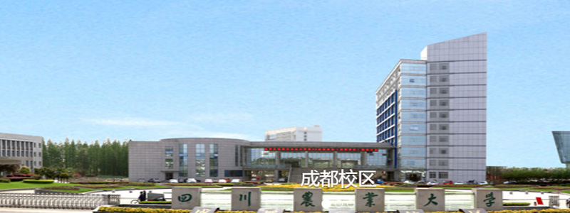 2024四川農(nóng)業(yè)大學(xué)重慶體育類分專業(yè)錄取分?jǐn)?shù)線和最低位次 最低79