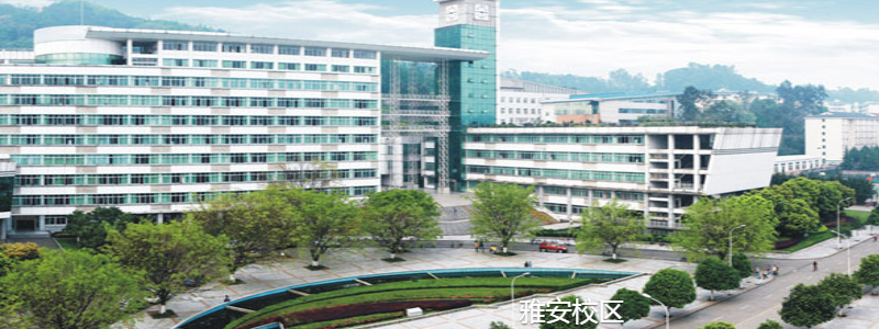 2024四川農(nóng)業(yè)大學(xué)四川地方專項(xiàng)分專業(yè)錄取分?jǐn)?shù)線和最低位次 最低537（征集）