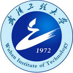 武漢工程大學(xué)2024藝術(shù)類錄取分?jǐn)?shù)線
