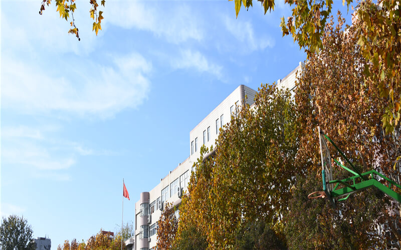2024年河南信息統(tǒng)計職業(yè)學院錄取分數線（含對口招生分數）