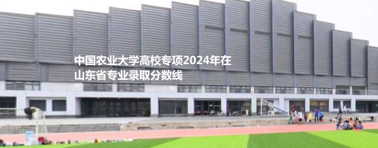 中國農(nóng)業(yè)大學高校專項2024山東專業(yè)錄取分數(shù)線