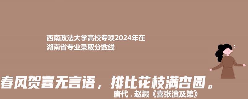 西南政法大學高校專項2024湖南各專業(yè)的錄取位次和最低分