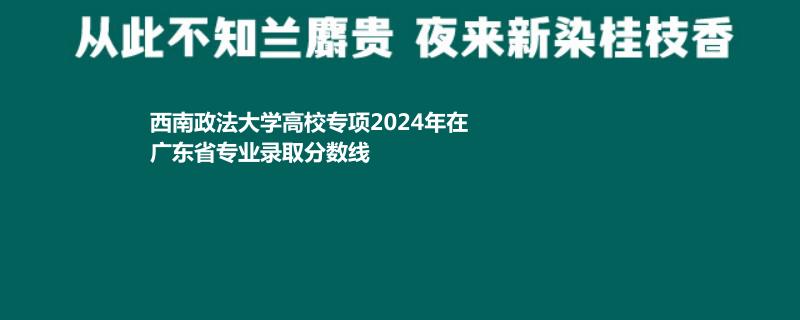 西南政法大學(xué)高校專項(xiàng)2024廣東各專業(yè)最低多少分 排名多少（2025年參考）