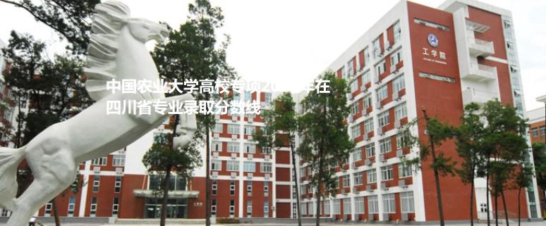 中國農(nóng)業(yè)大學高校專項2024四川專業(yè)錄取分數(shù)線