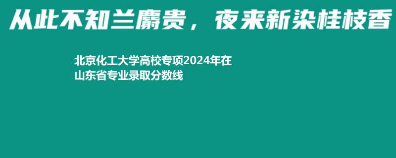 北京化工大學(xué)2024高校專項(xiàng)在山東錄取分?jǐn)?shù)線