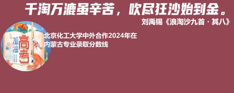 北京化工大學(xué)中外合作2024年在內(nèi)蒙古專業(yè)錄取分?jǐn)?shù)線