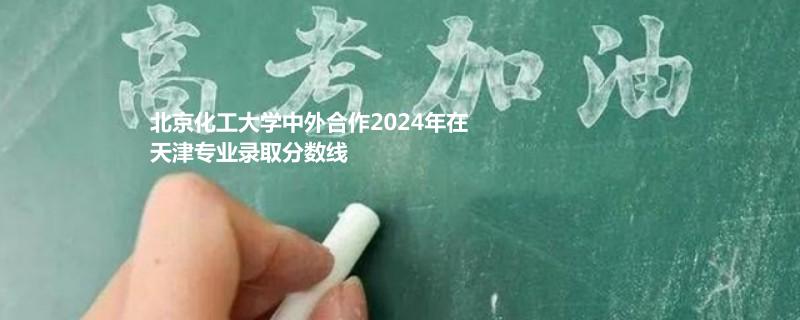 北京化工大學(xué)中外合作2024天津?qū)I(yè)錄取分數(shù)線