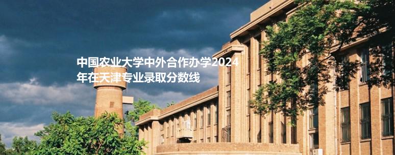 中國農業(yè)大學中外合作辦學2024天津分專業(yè)最低錄取分數與位次